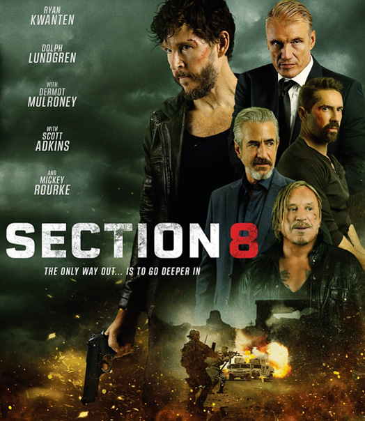 Section 8 (Dvd)